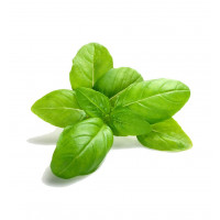 Herbs